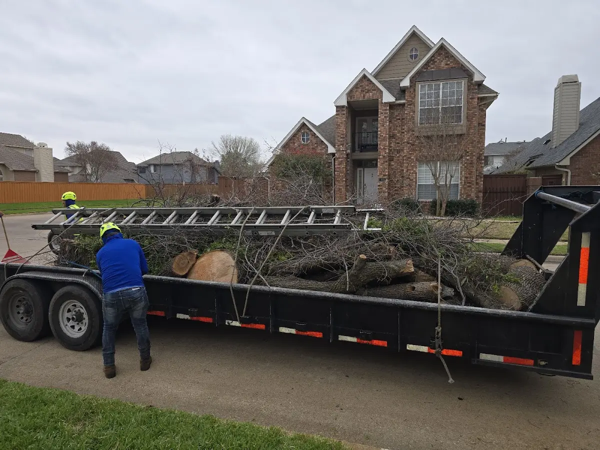 Expert Tree Fertilization with proper safety equipment in Dola